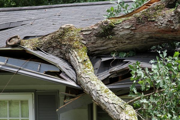 Cost of Storm Remediation in Gary