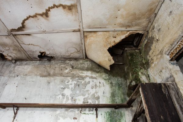 Water Damage Service in Gary