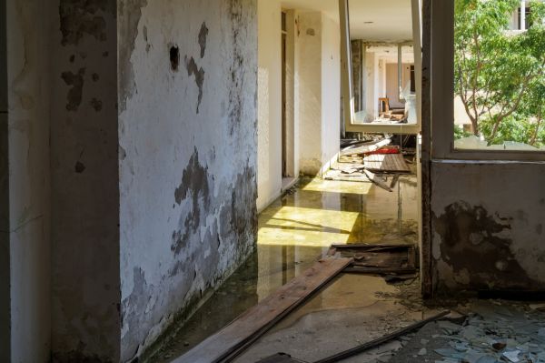 Water Removal Service in Gary